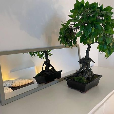 Magnifique Appartement A La Frontiere Suisse 생루이 외부 사진