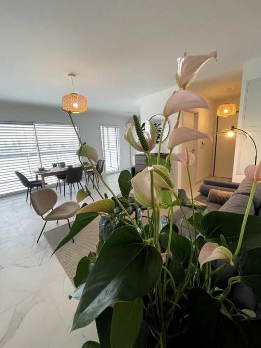 Magnifique Appartement A La Frontiere Suisse 생루이 외부 사진