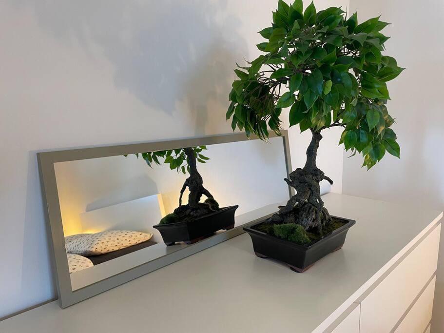 Magnifique Appartement A La Frontiere Suisse 생루이 외부 사진
