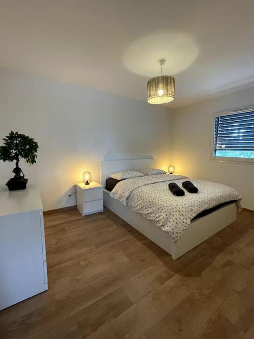 Magnifique Appartement A La Frontiere Suisse 생루이 외부 사진