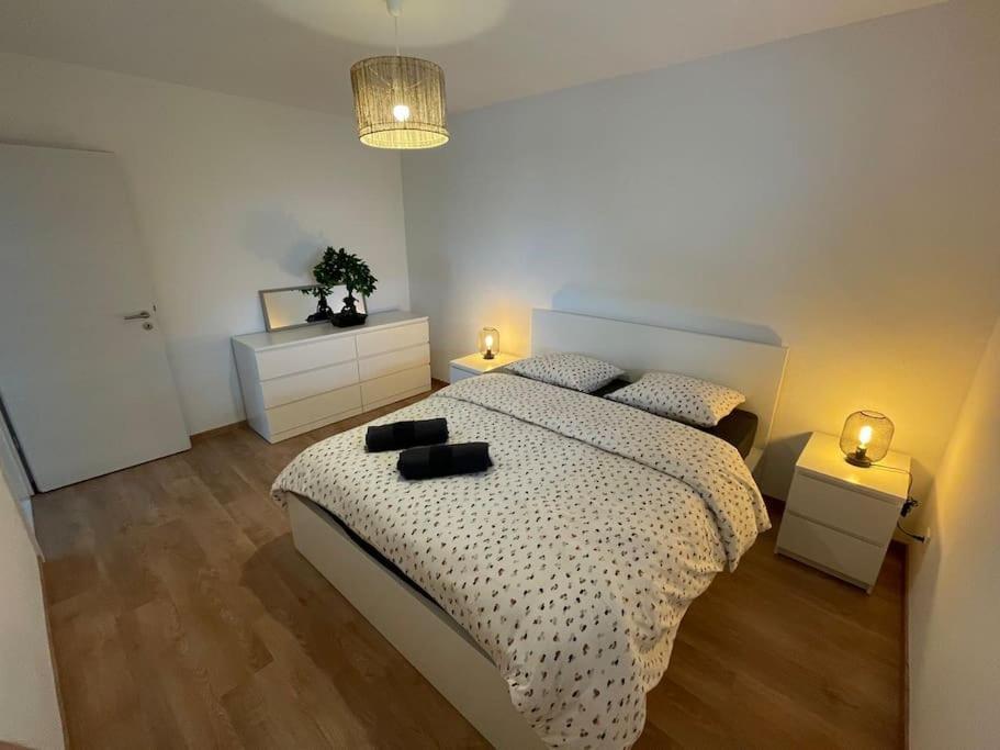 Magnifique Appartement A La Frontiere Suisse 생루이 외부 사진