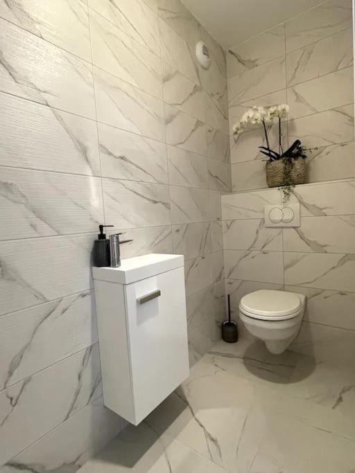 Magnifique Appartement A La Frontiere Suisse 생루이 외부 사진
